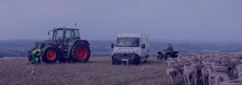 Landwirtschaft Lösungen