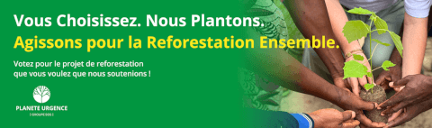 Journée mondiale de l'environnement 2025