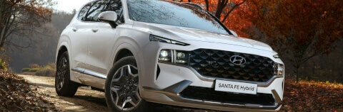 Pneumatici Hyundai Santa Fe