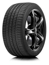 Tigar Suv Summer